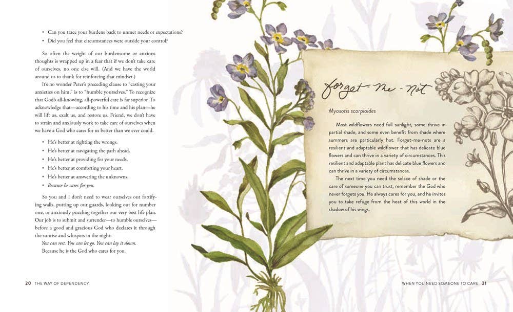 The Way of the Wildflower : Gospel Meditations to Unburden Your Anxious Soul