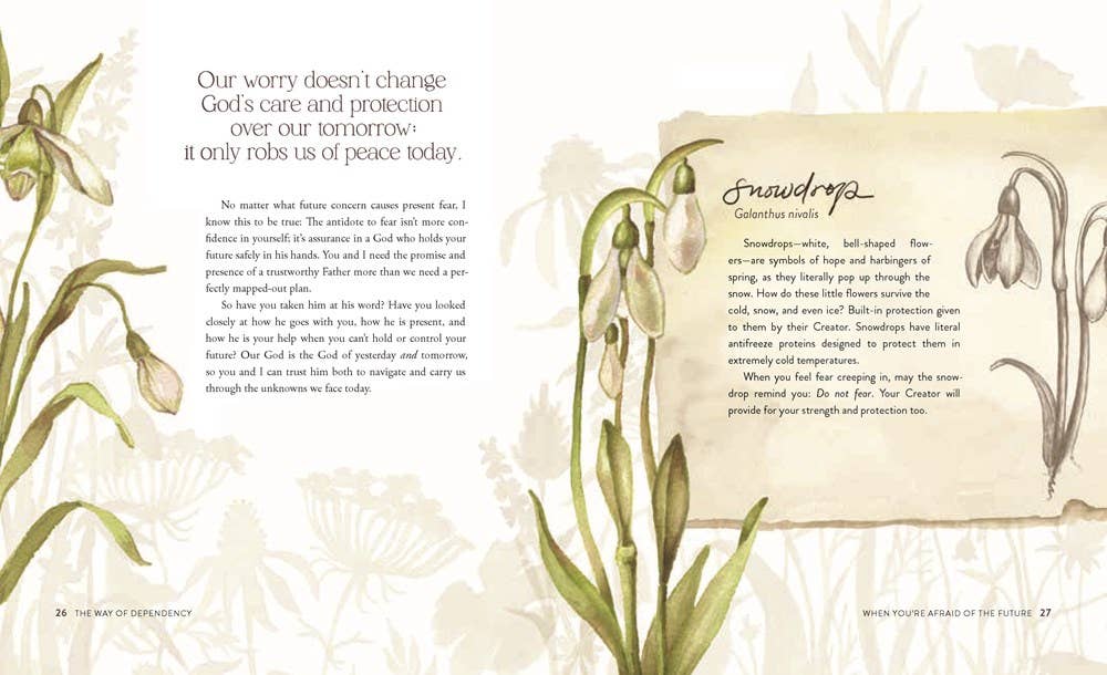 The Way of the Wildflower : Gospel Meditations to Unburden Your Anxious Soul